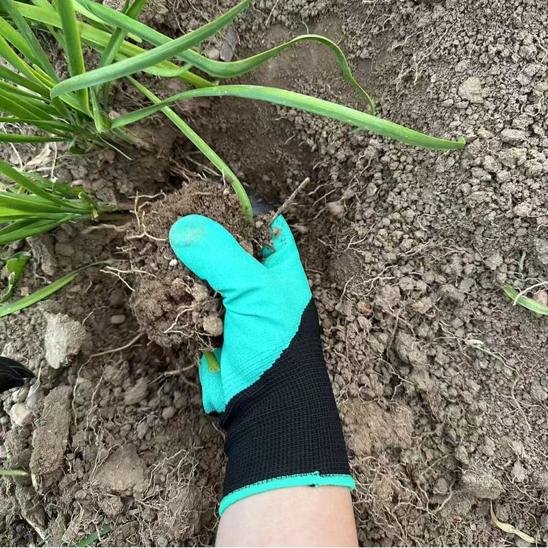 ถุงมือทำสวนพร้อมกรงเล็บในตัว,  - Gardening Glove Waterproof บทวิจารณ์และราคา